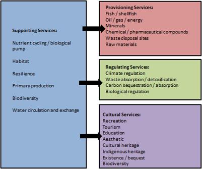 Expert Assessment of Risks Posed by Climate Change and Anthropogenic Activities to Ecosystem Services in the Deep North Atlantic